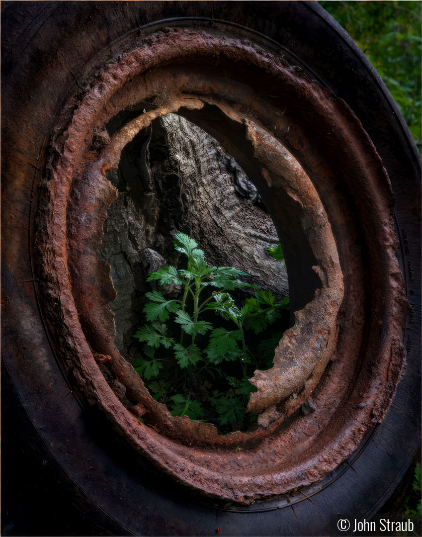 ... and Life Goes On by John Straub