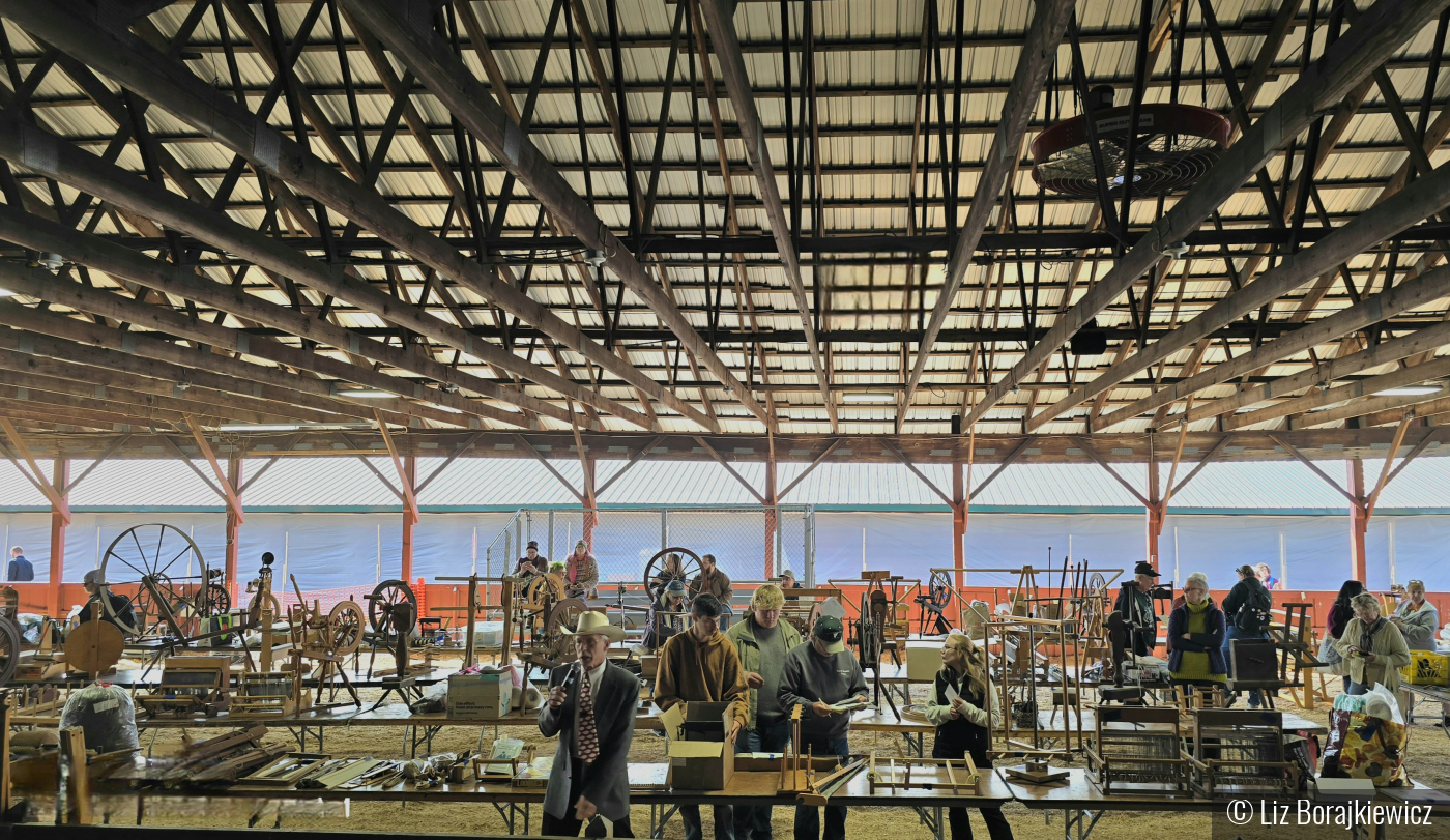 A Day at the Auction by Liz Borajkiewicz