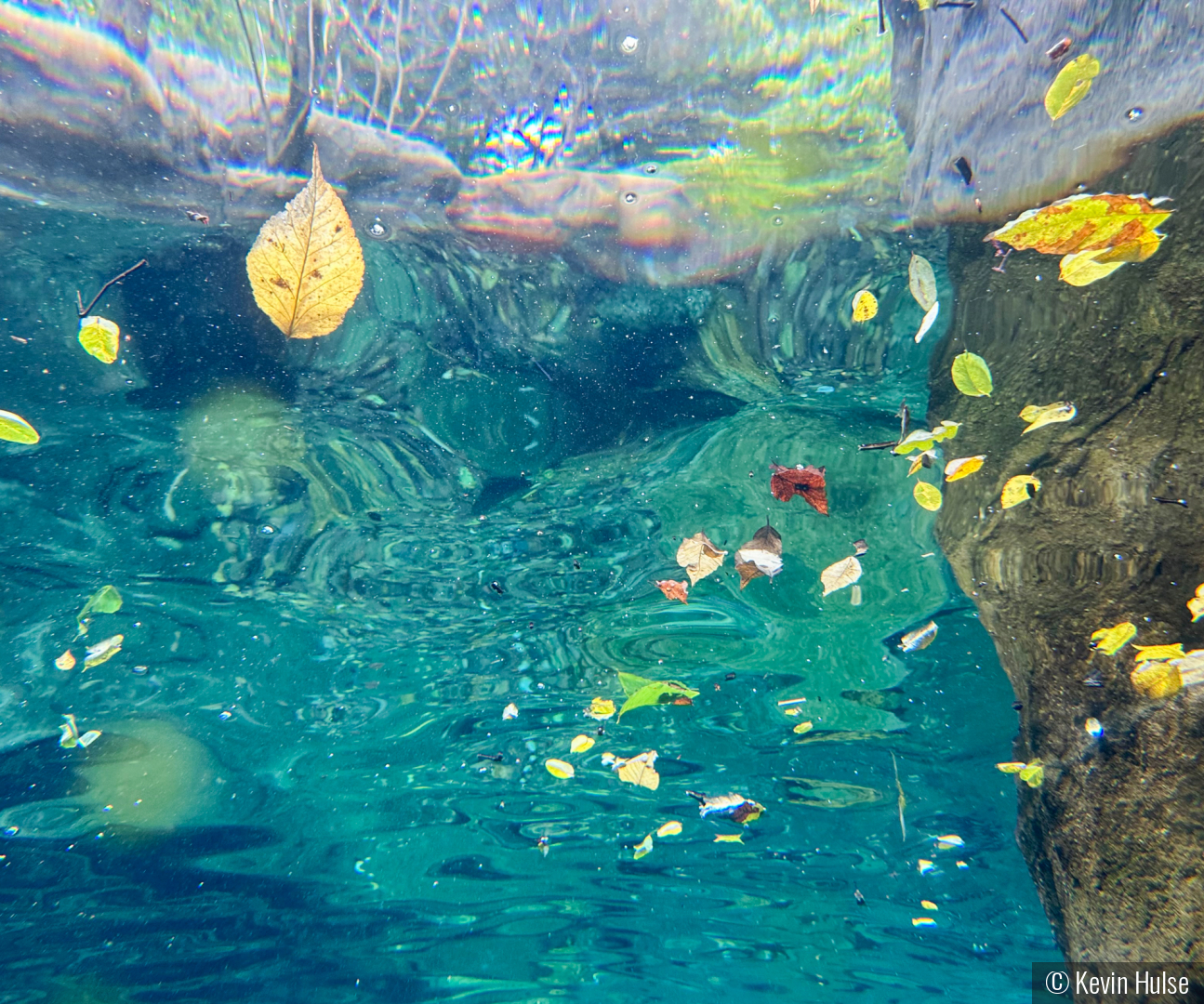 A Fishes View of Fall by Kevin Hulse