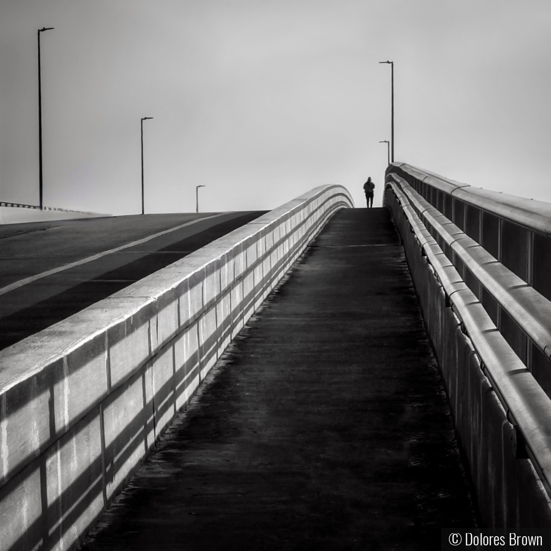 A Solitary Journey by Dolores Brown