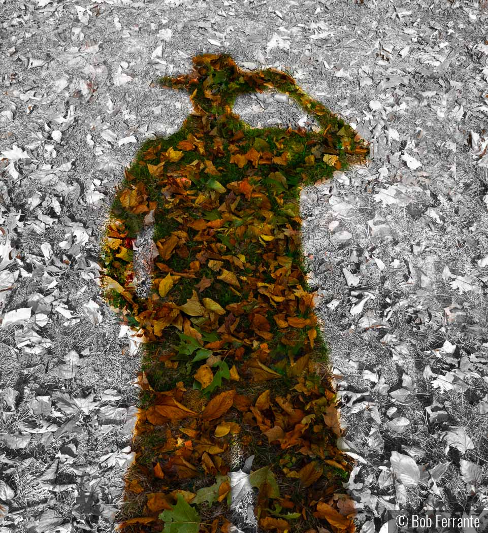 A Tip Of The Hat To Fallen Leaves by Bob Ferrante