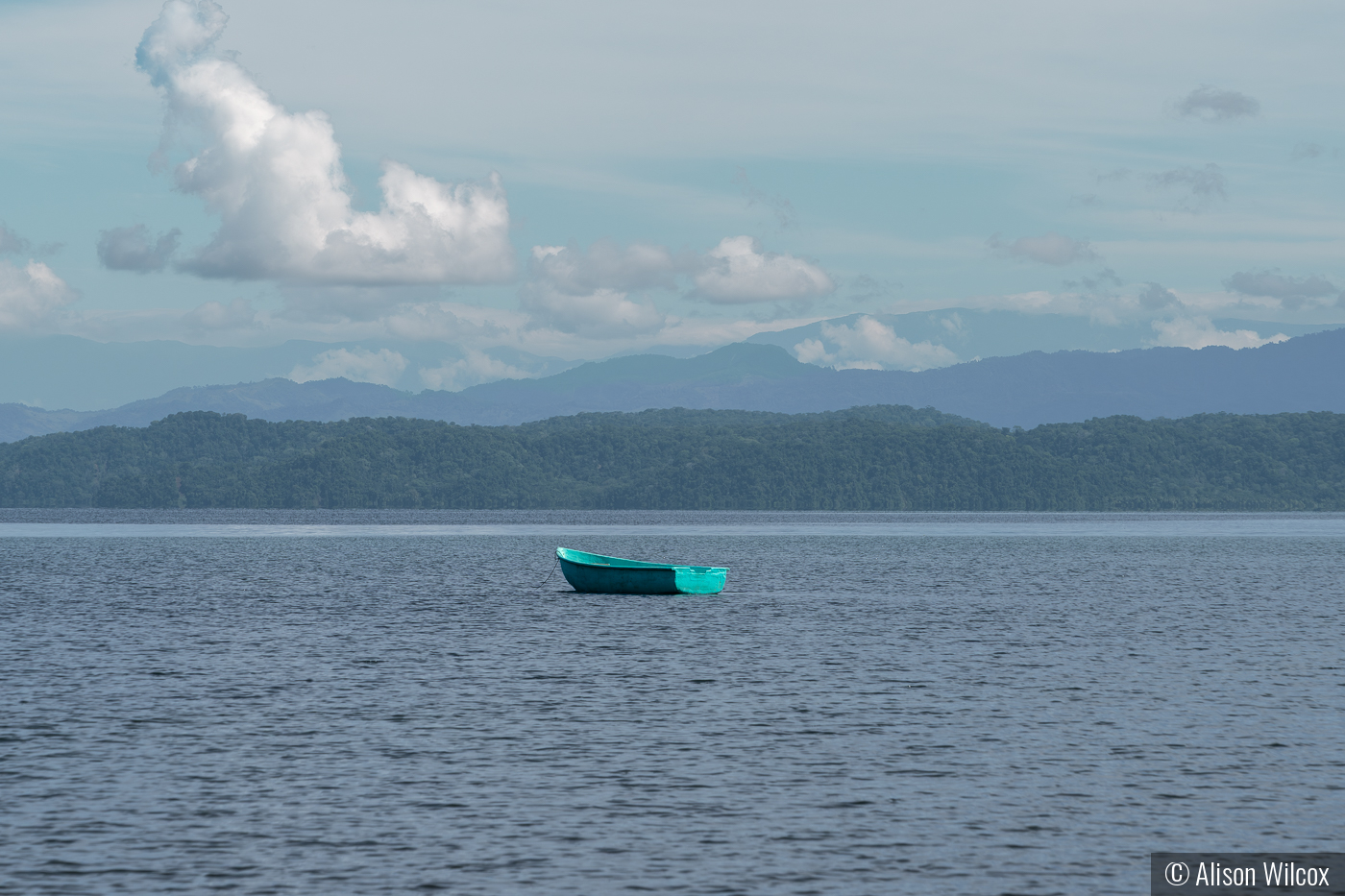 A Tranquil Costa Rican Morning by Alison Wilcox