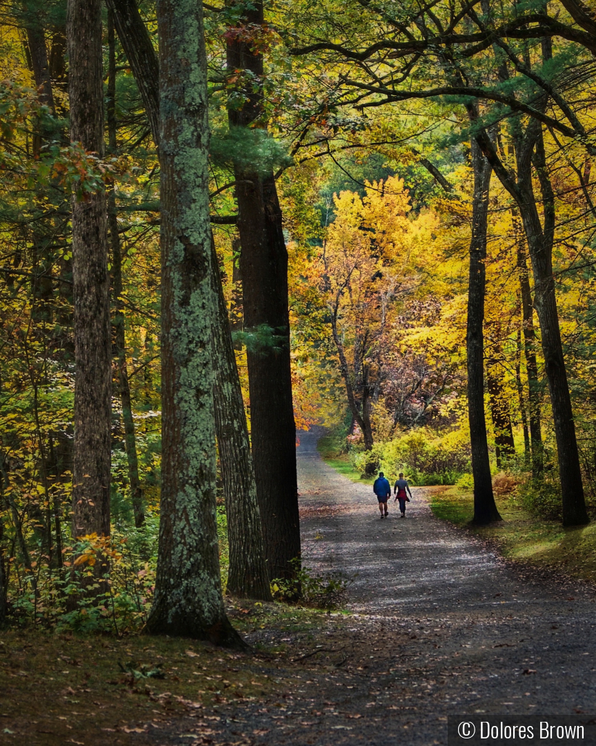 A Walk Into October by Dolores Brown