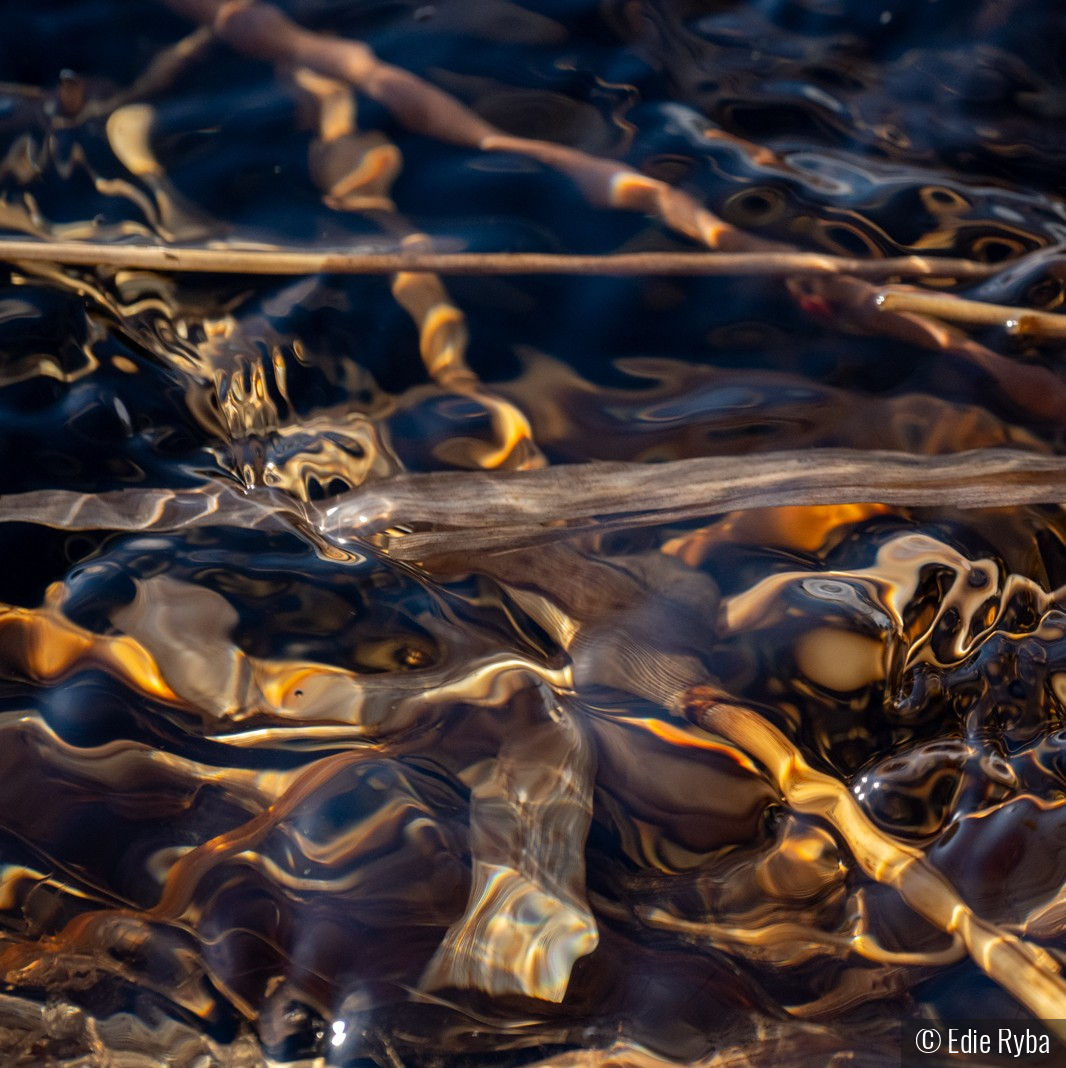 Abstract Below the Ice by Edie Ryba