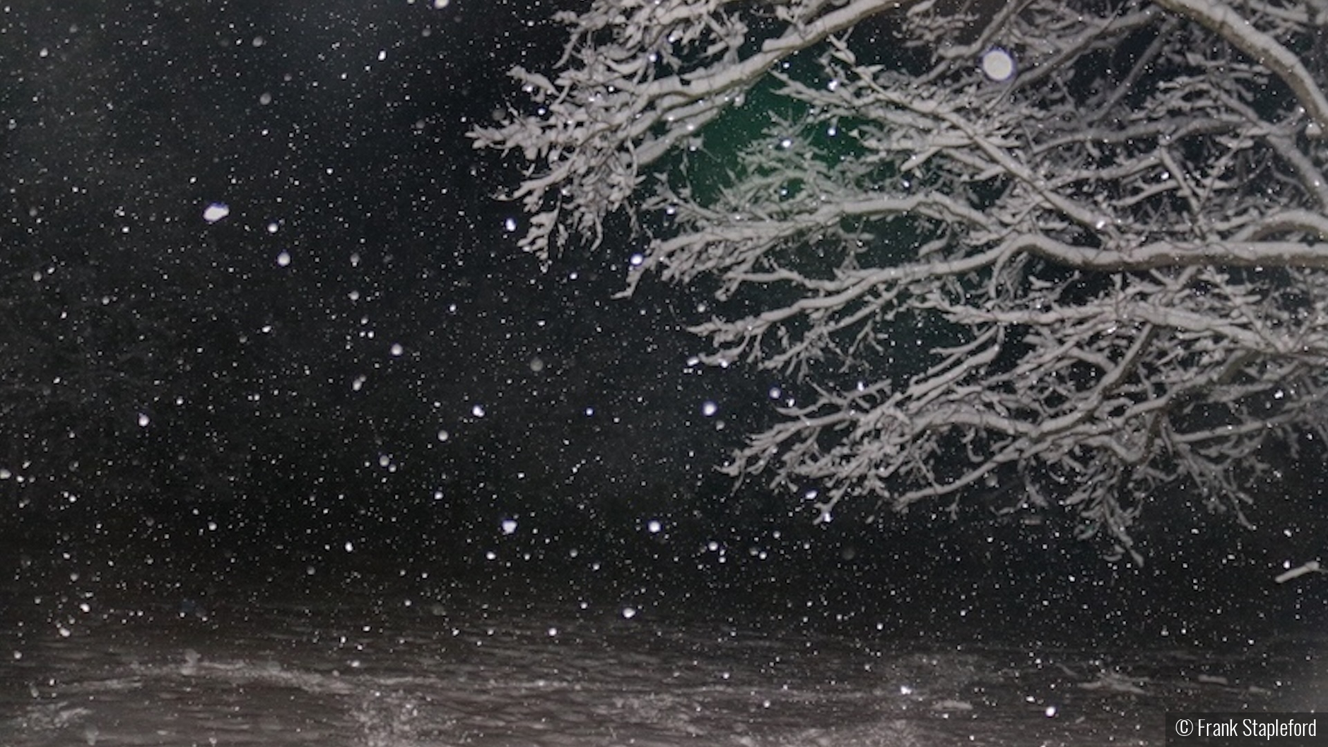 Blizzard At Night by Frank Stapleford