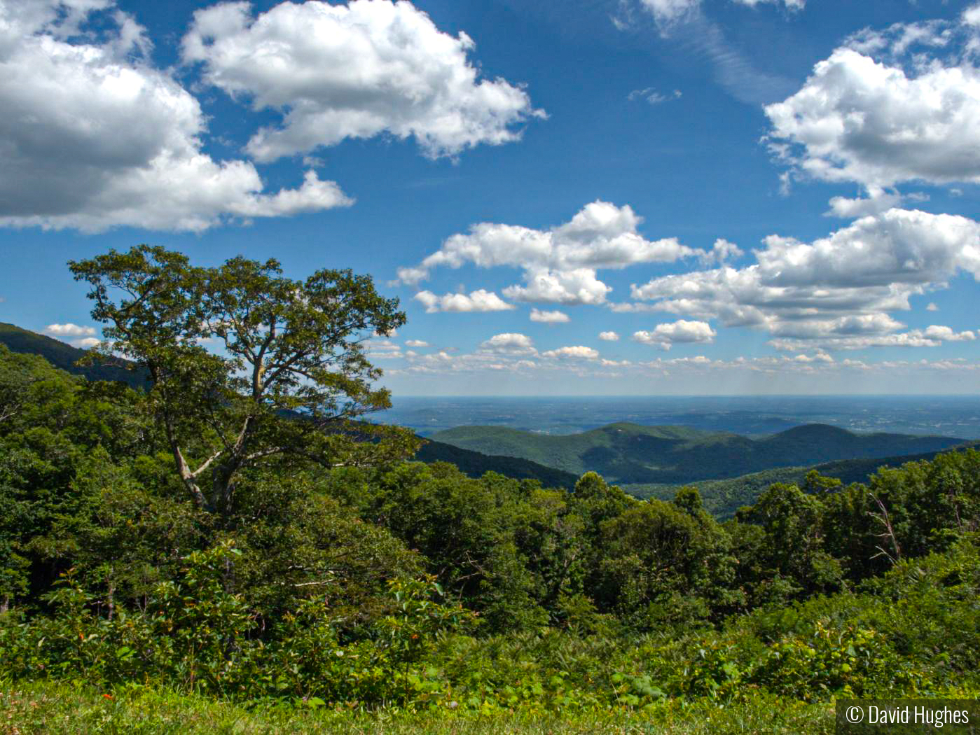 Blue Ridge Parkway by David Hughes