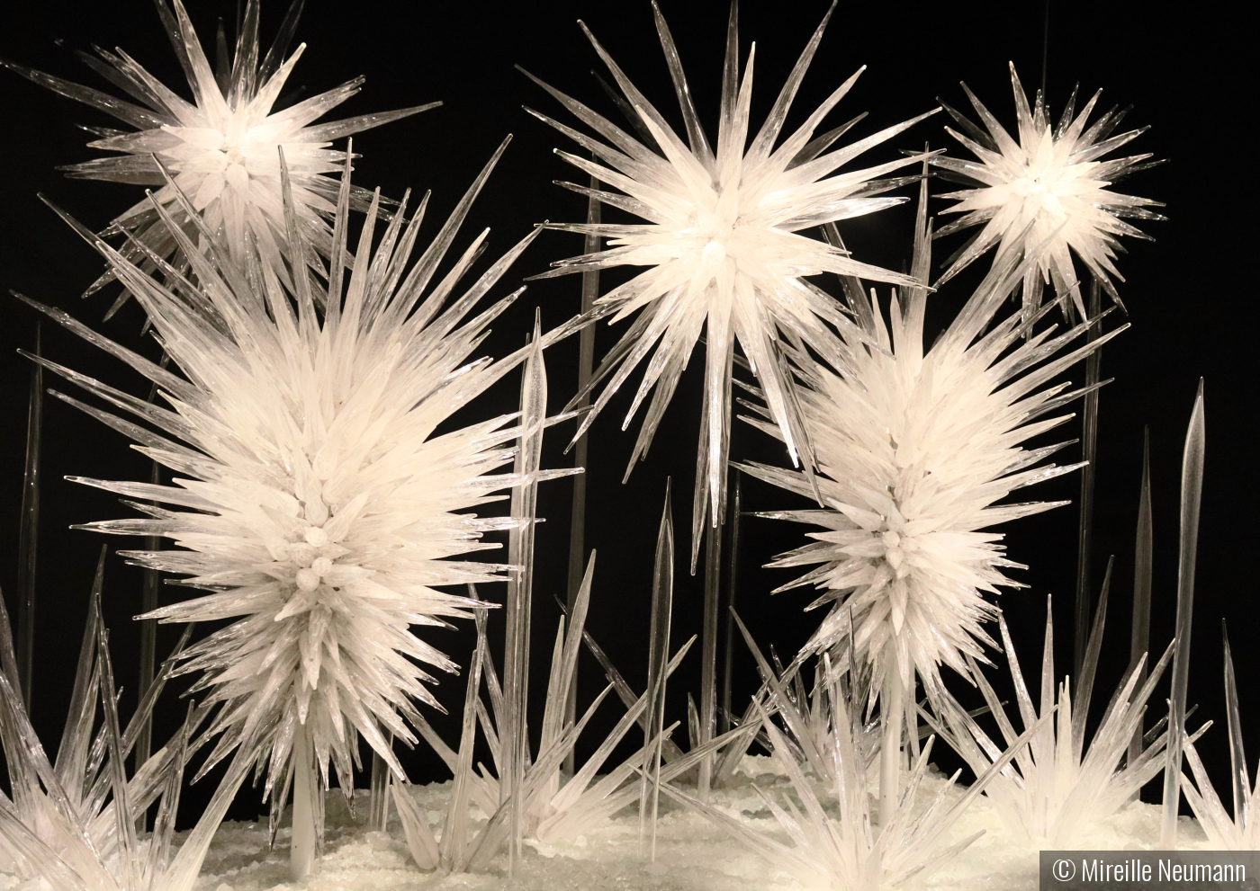 Chihuly Crystals by Mireille Neumann
