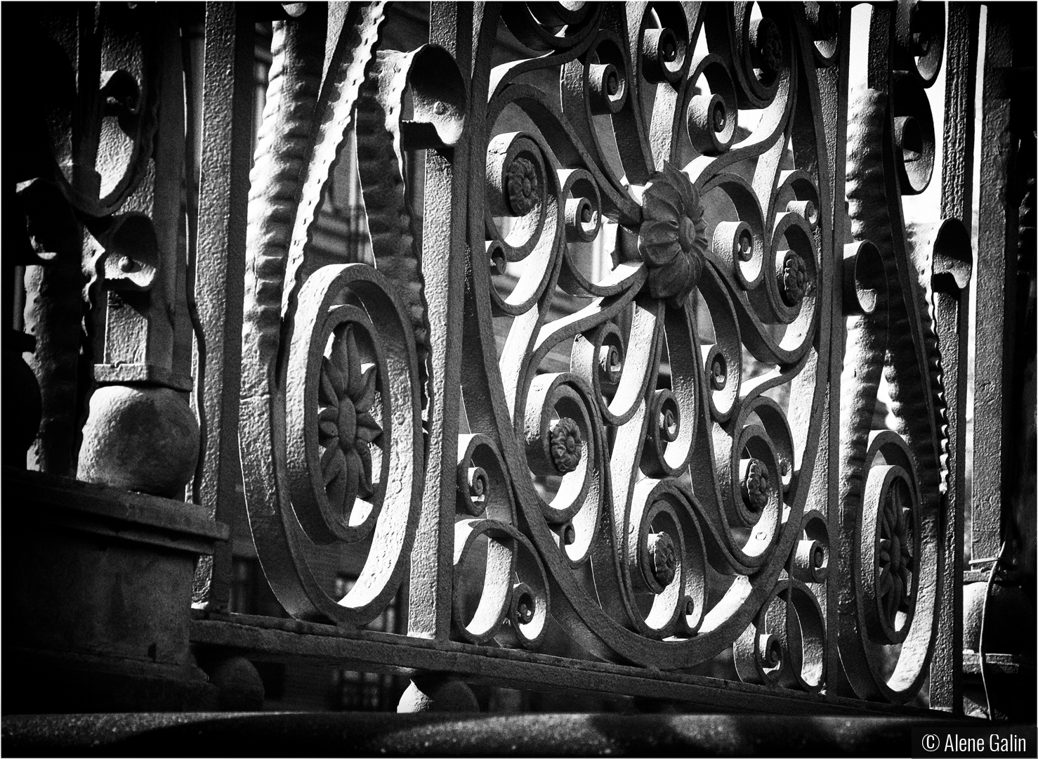 Circles by Alene Galin