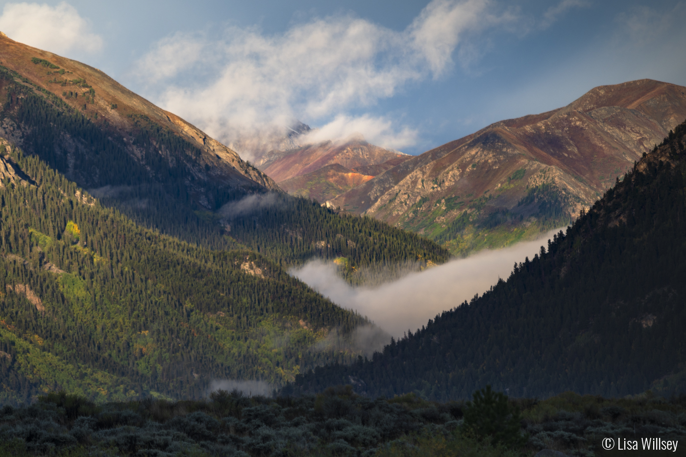 Cloud At Rest by Lisa Willsey