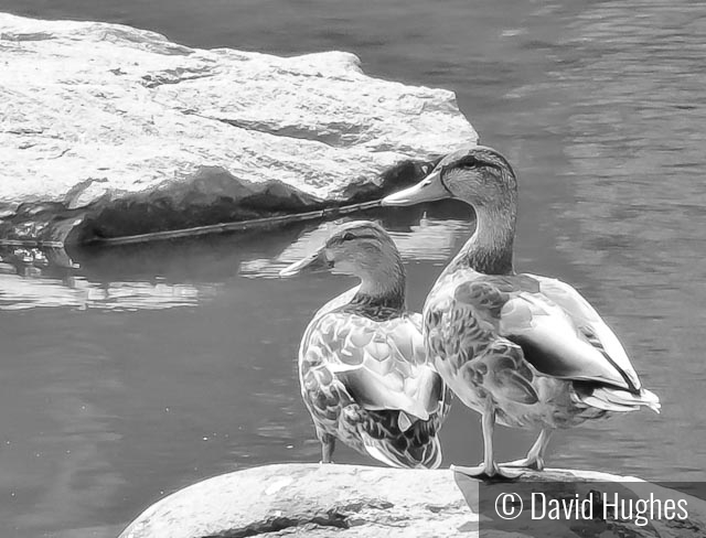 Colebrook Reservoir by David Hughes