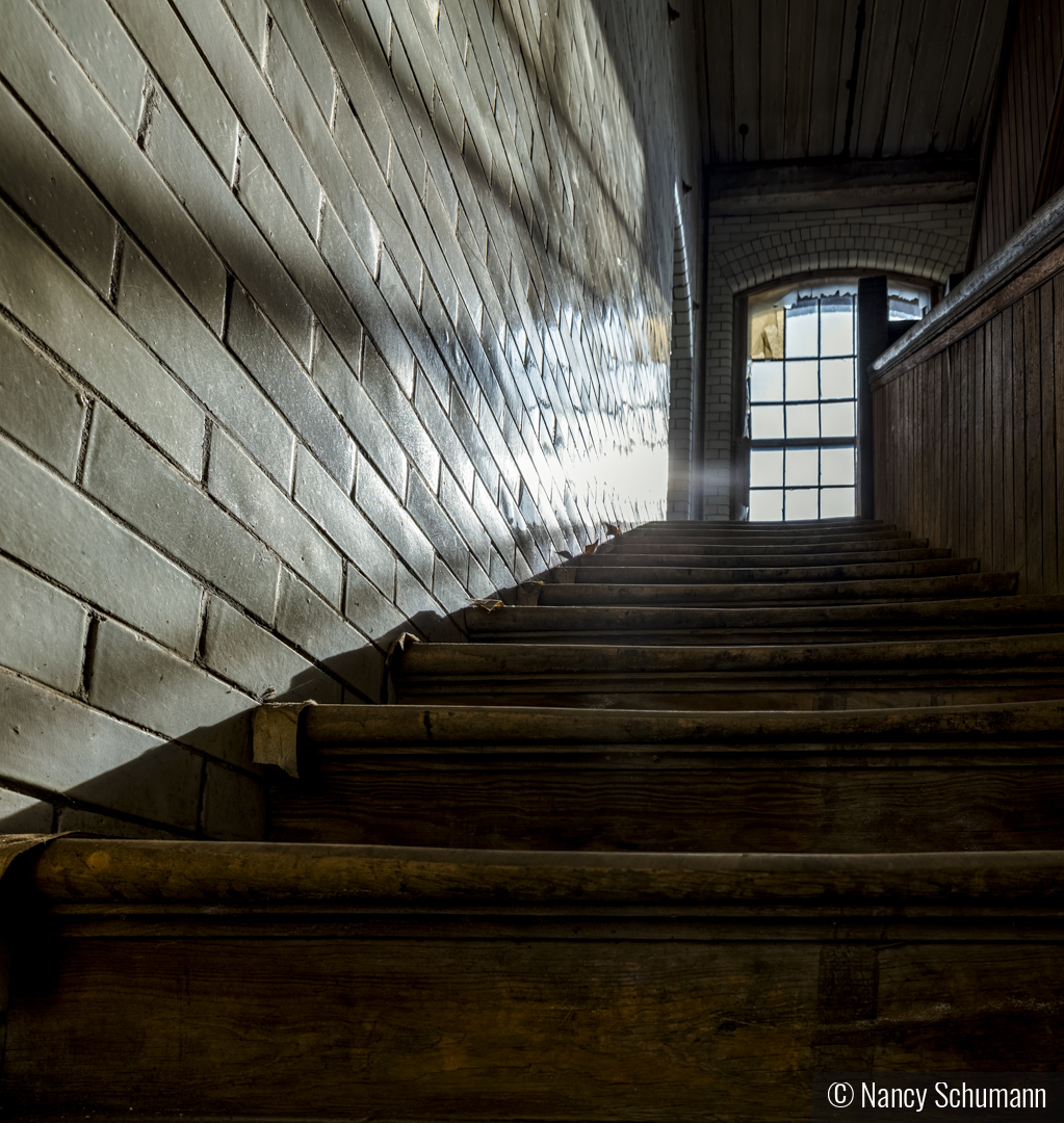 Come to the Light by Nancy Schumann