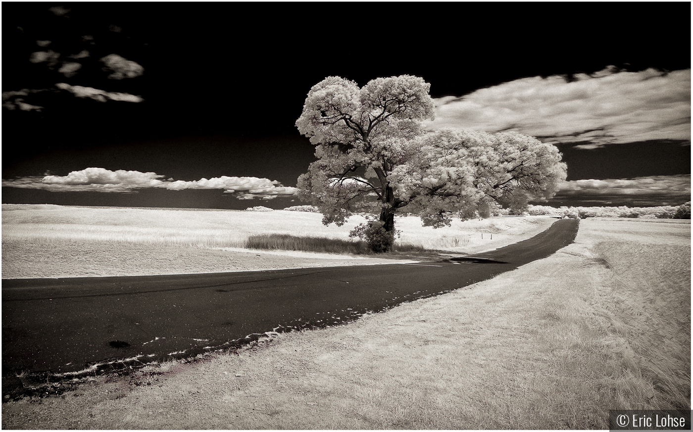 Country Road by Eric Lohse