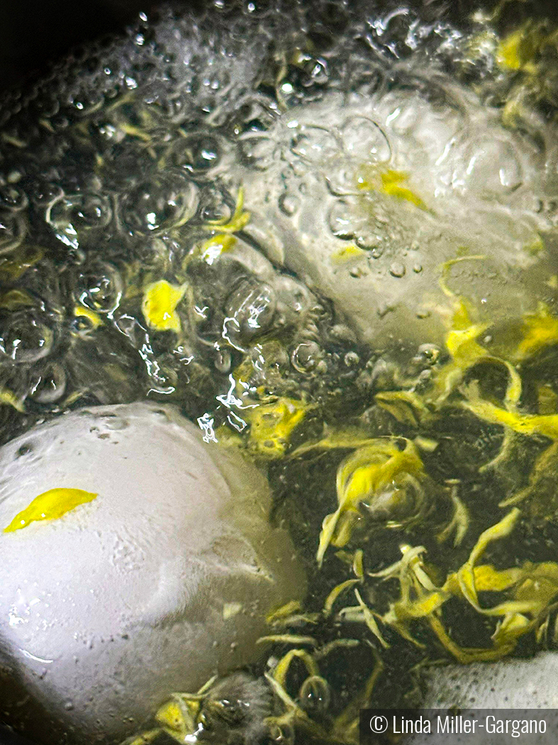 Cracked Boiled Egg by Linda Miller-Gargano