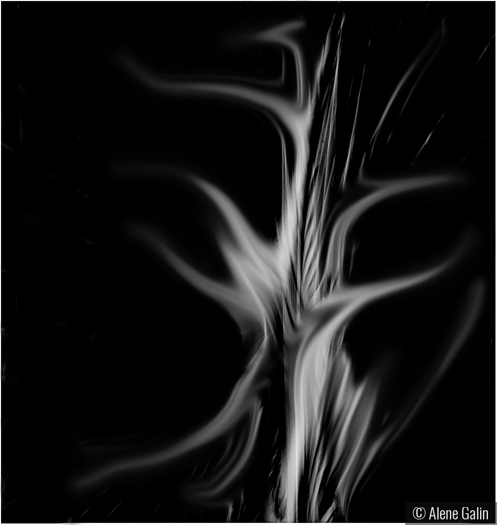 Dancing Light by Alene Galin