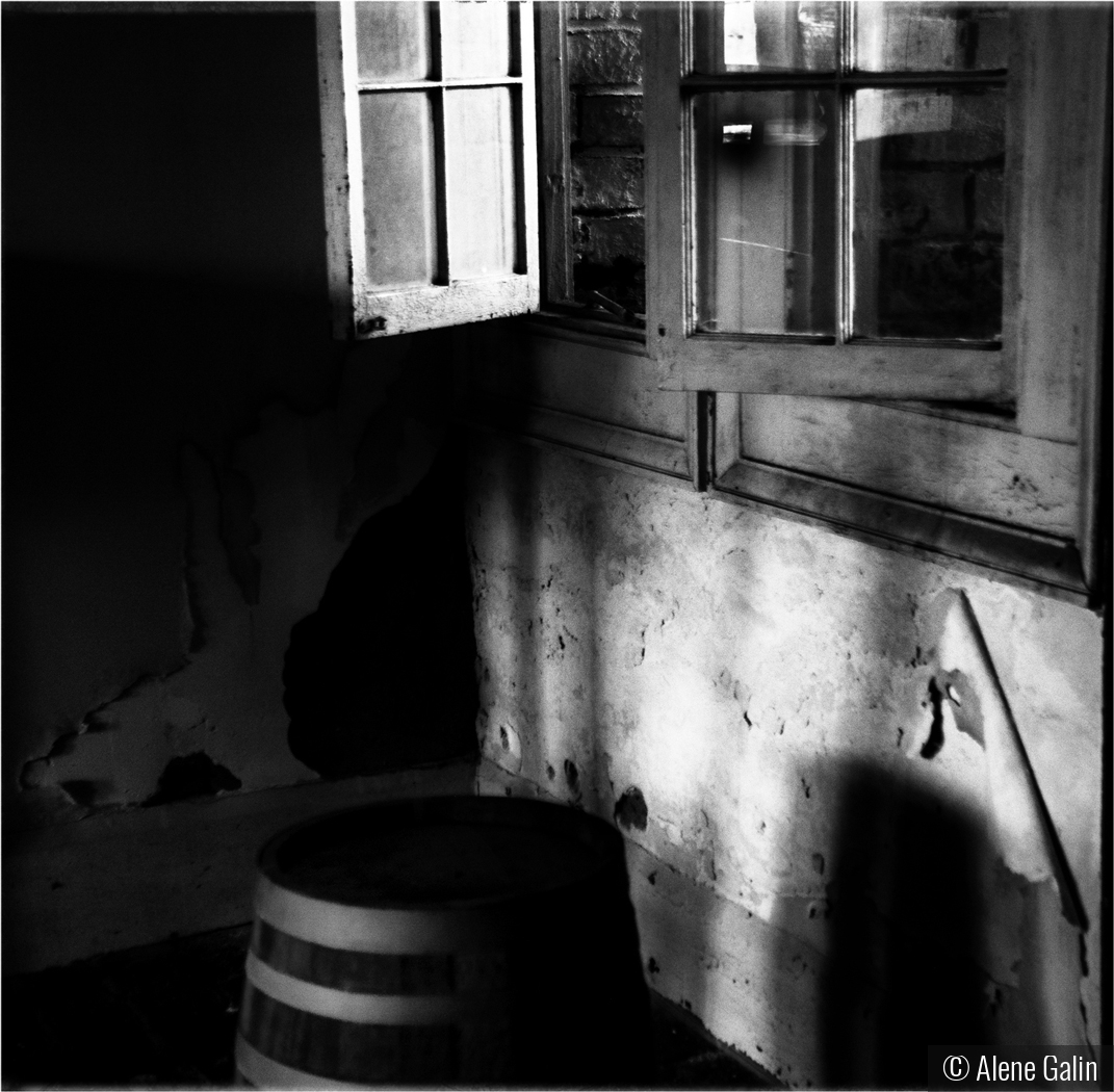 Dark-and-Light by Alene Galin