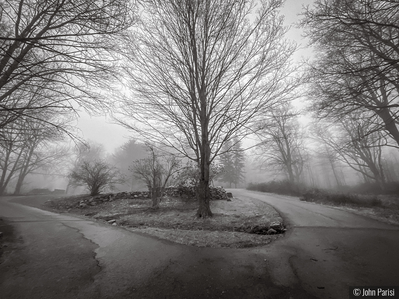 Dennis Hill by John Parisi