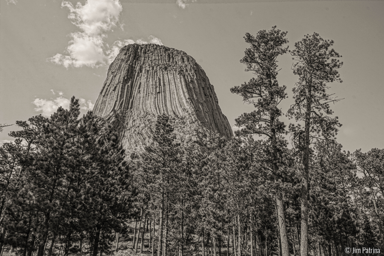 Devils Tower by Jim Patrina