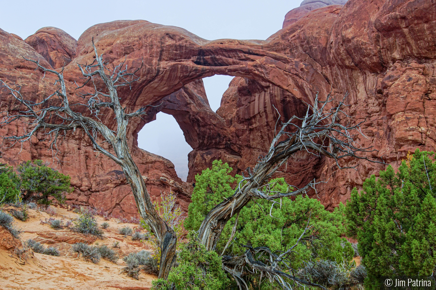 Double Arch - Arches National Park by Jim Patrina