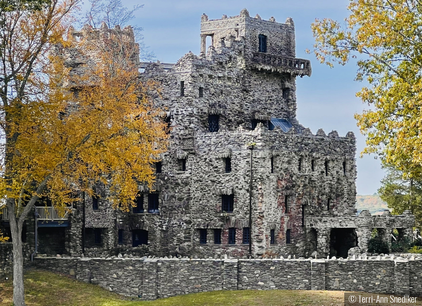 Echoes From The Shadows by Terri-Ann Snediker