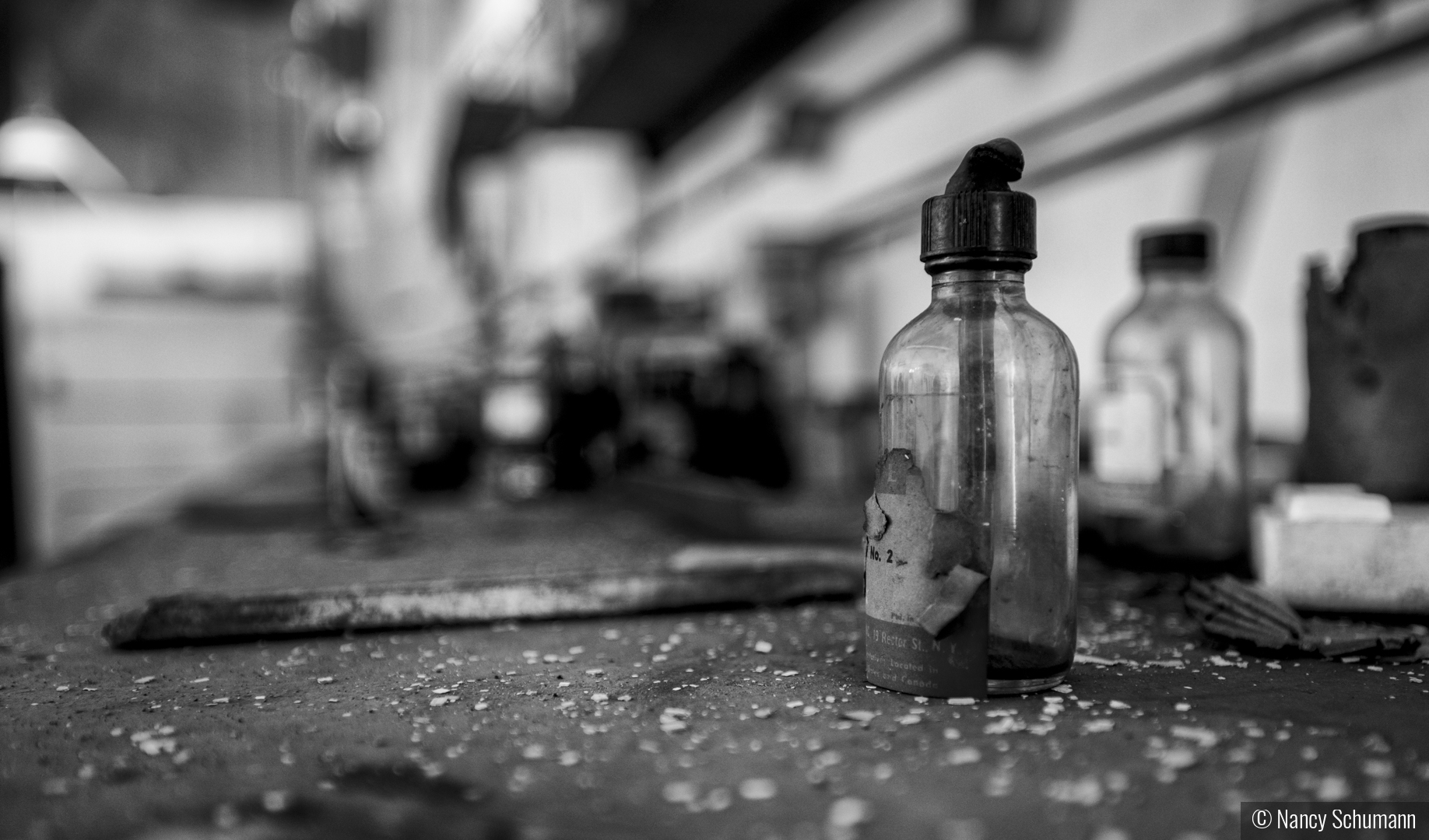 Echoes in the Glass by Nancy Schumann