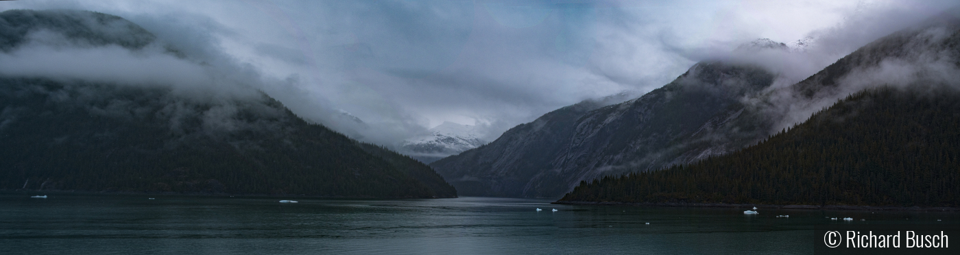 Endicott Arms Fjord by Richard Busch