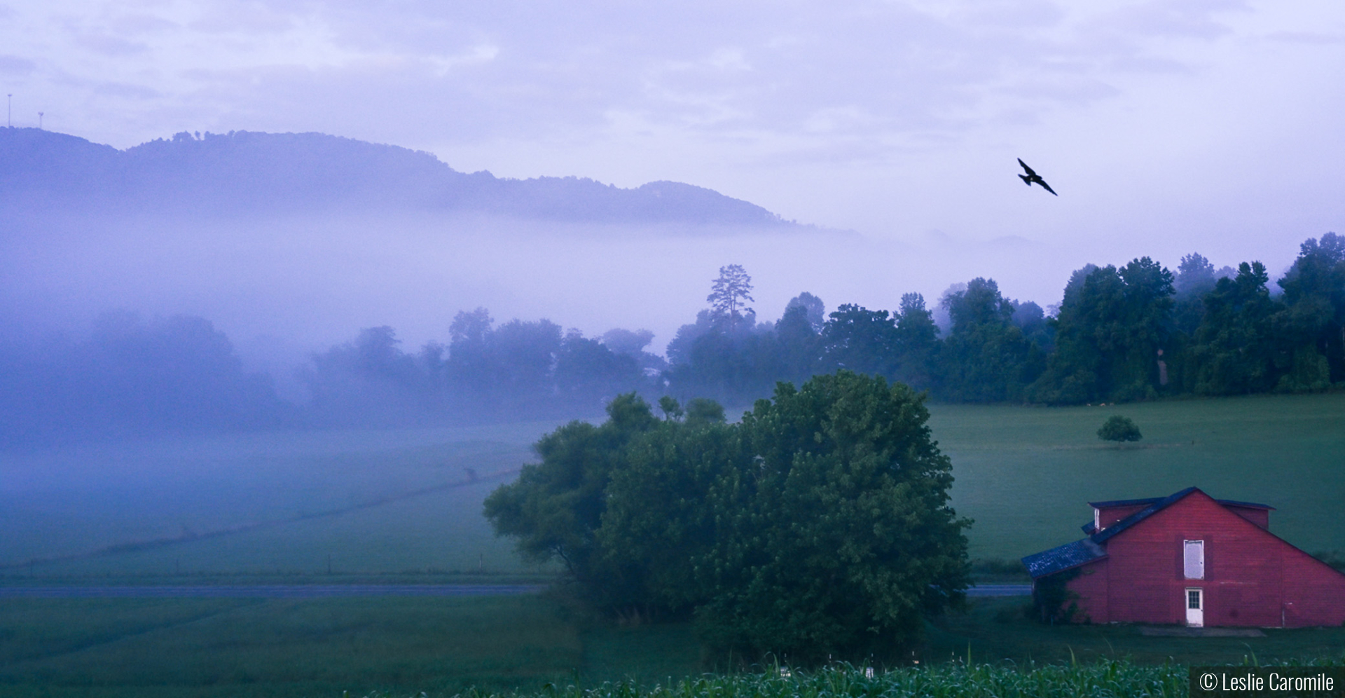Evening Mist by Leslie Caromile
