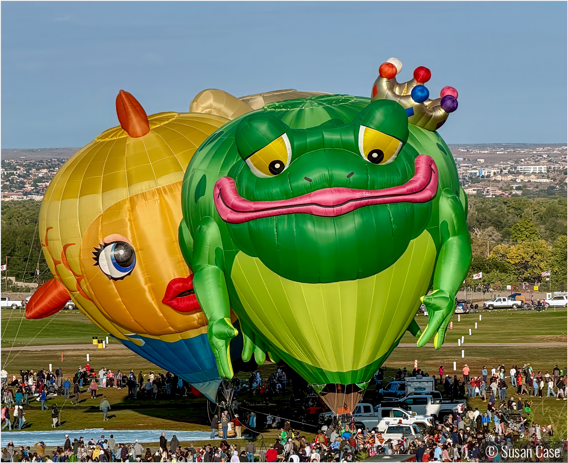Excuse Me, You're Blocking My View by Susan Case