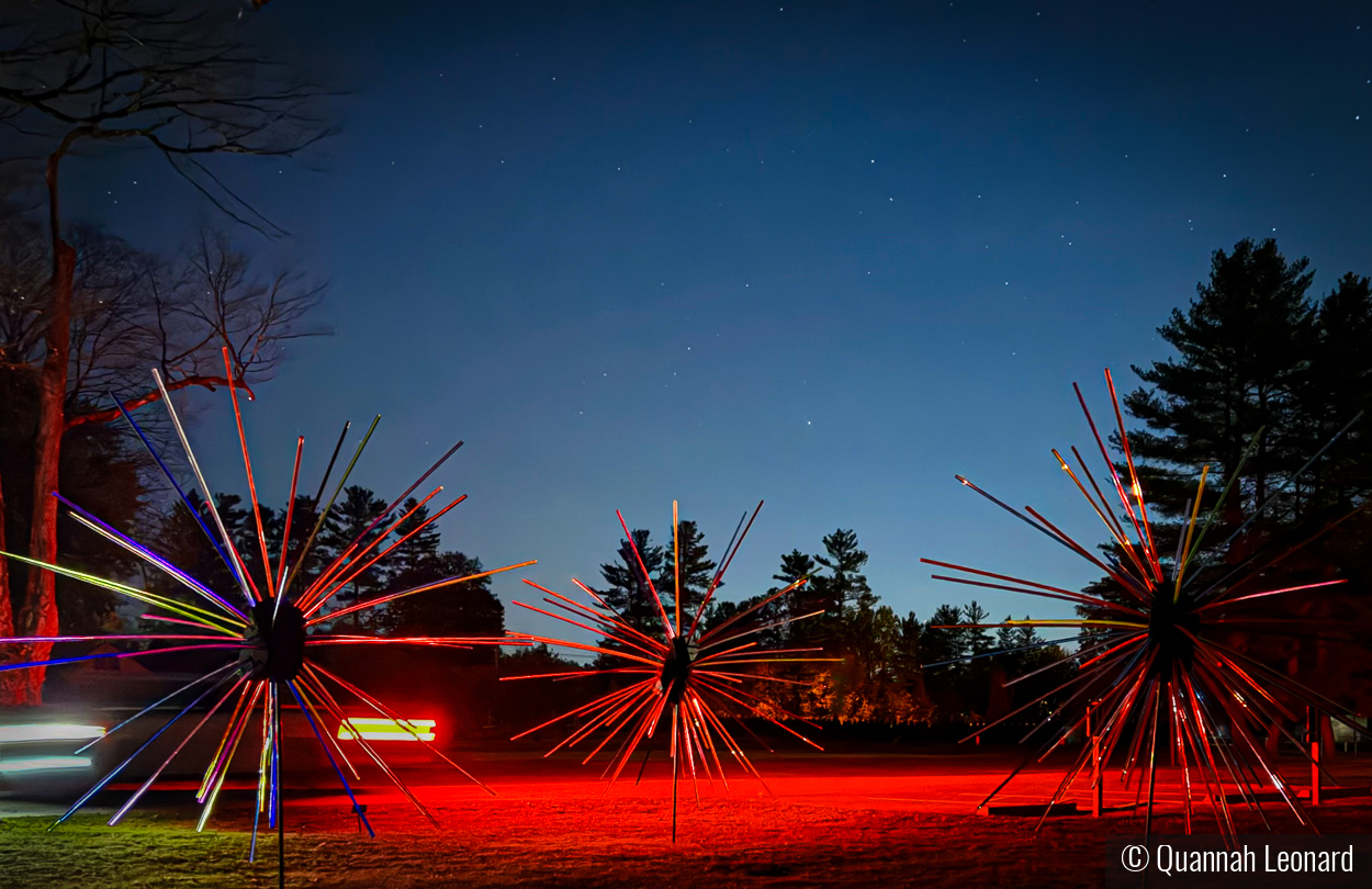 Field of Artificial Stars by Quannah Leonard