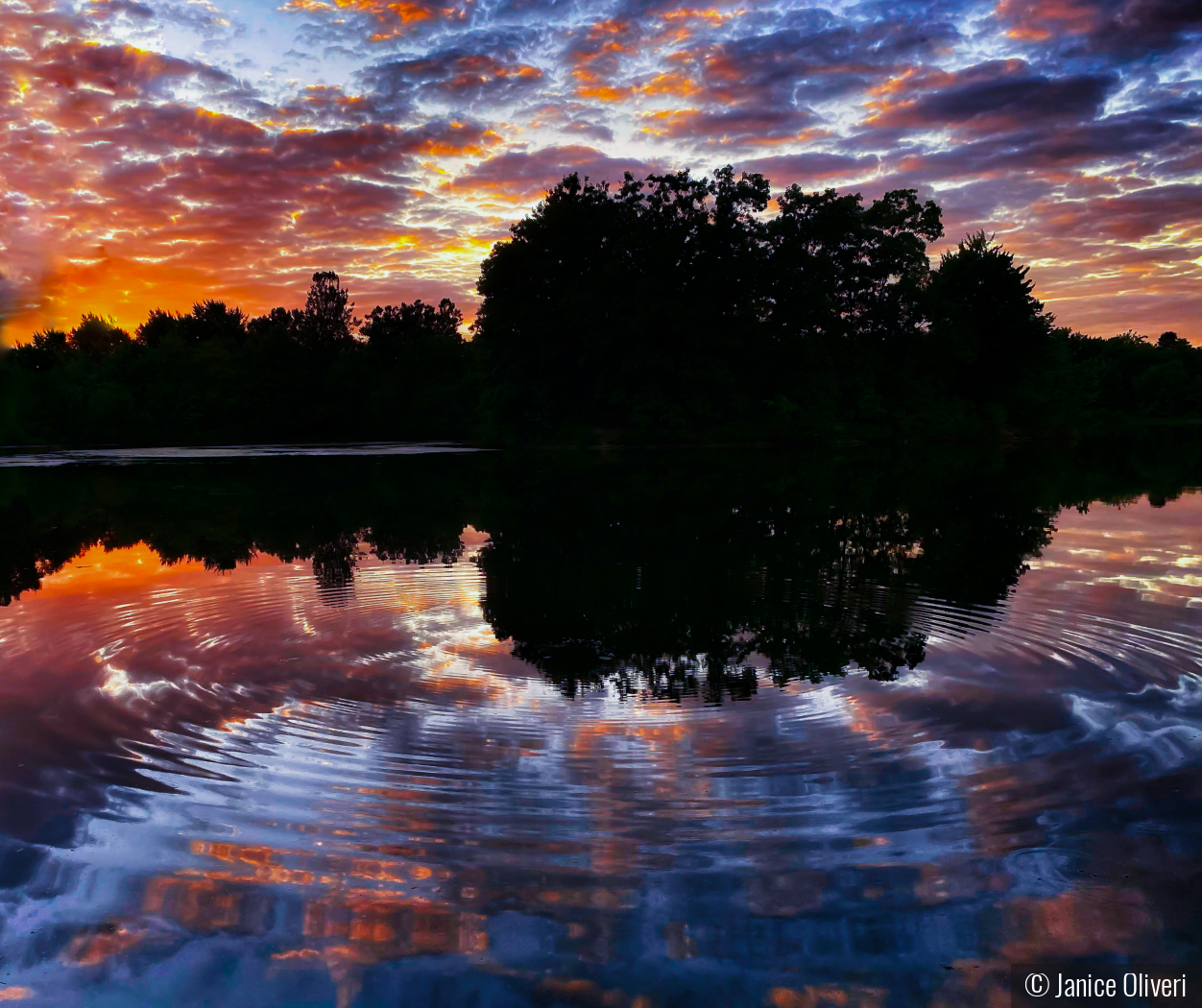 Fisher Meadow Dusk by Janice Oliveri