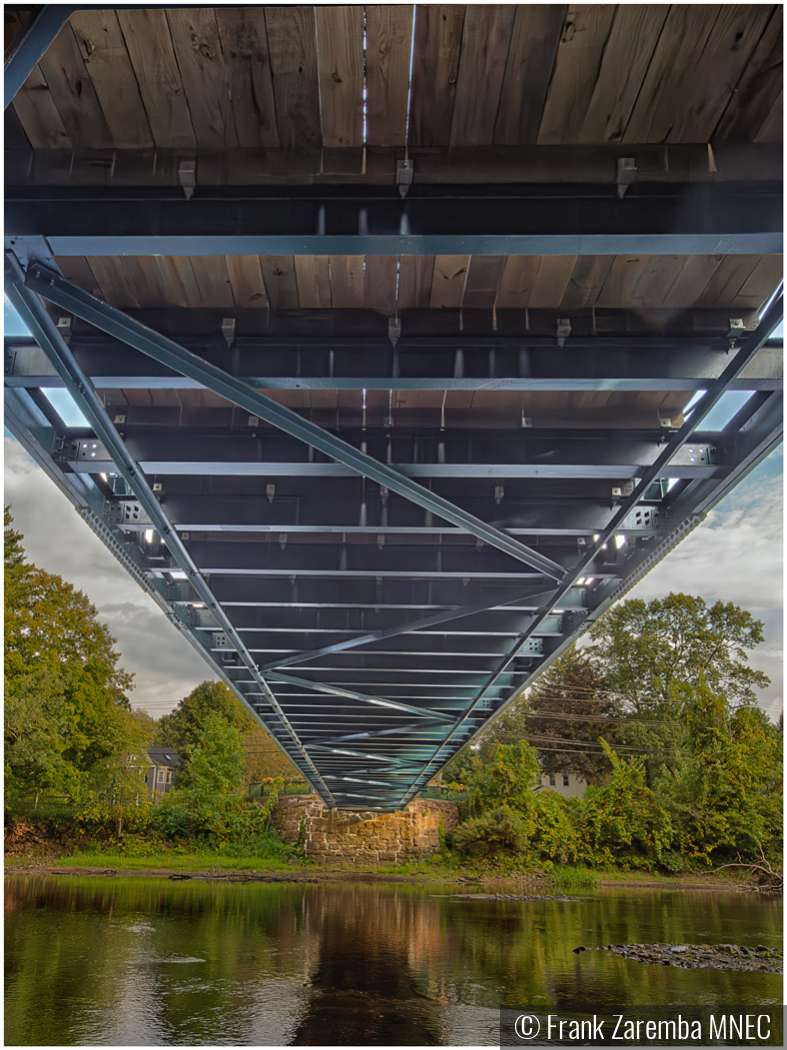 Flower Bridge by Frank Zaremba MNEC