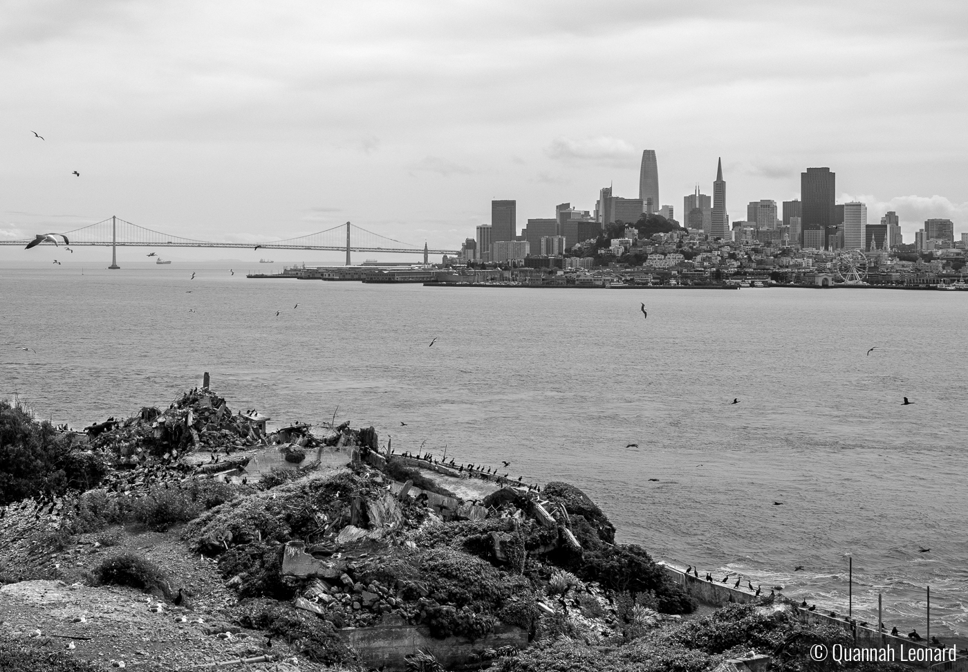 Freedom Across the Bay by Quannah Leonard