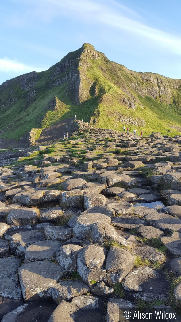 Giant's Causeway, Ireland by Alison Wilcox