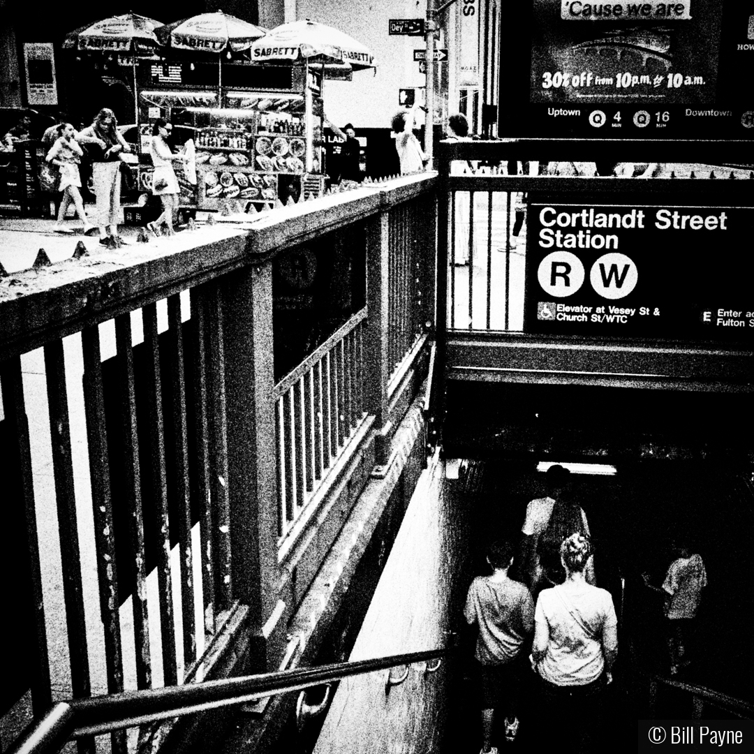 Going Down Under by Bill Payne
