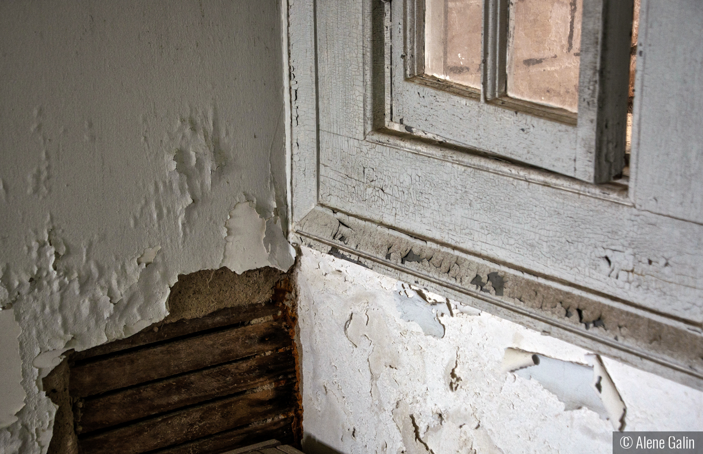 Handyman Wanted by Alene Galin