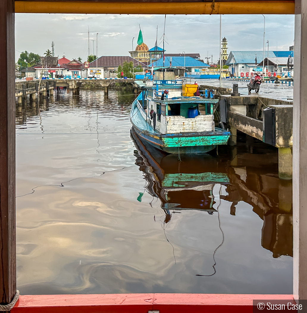 Harbor View by Susan Case