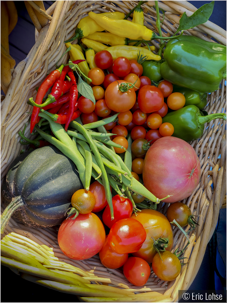 Harvest Time by Eric Lohse