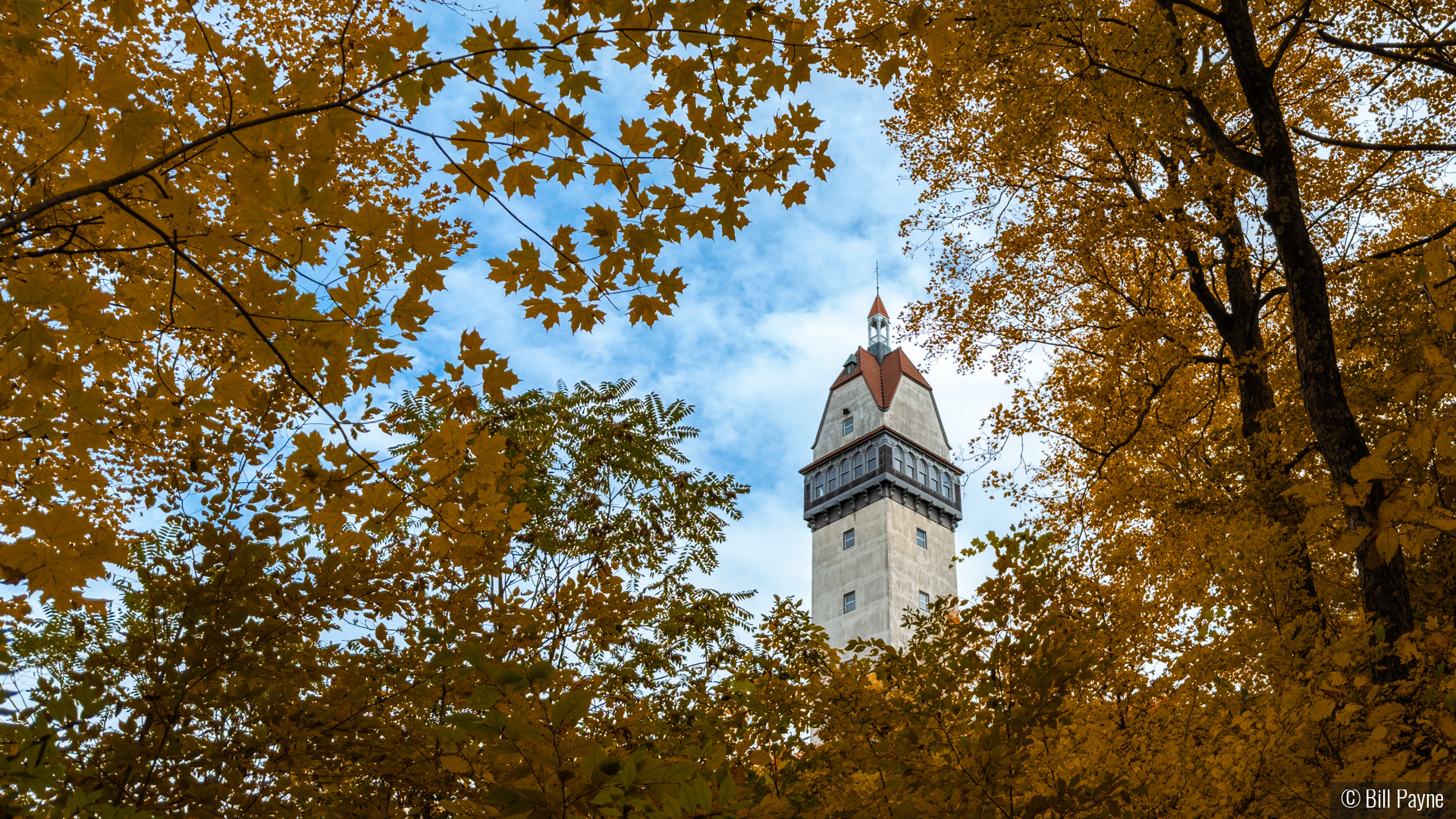 Heublein Tower Through the Canopy by Bill Payne