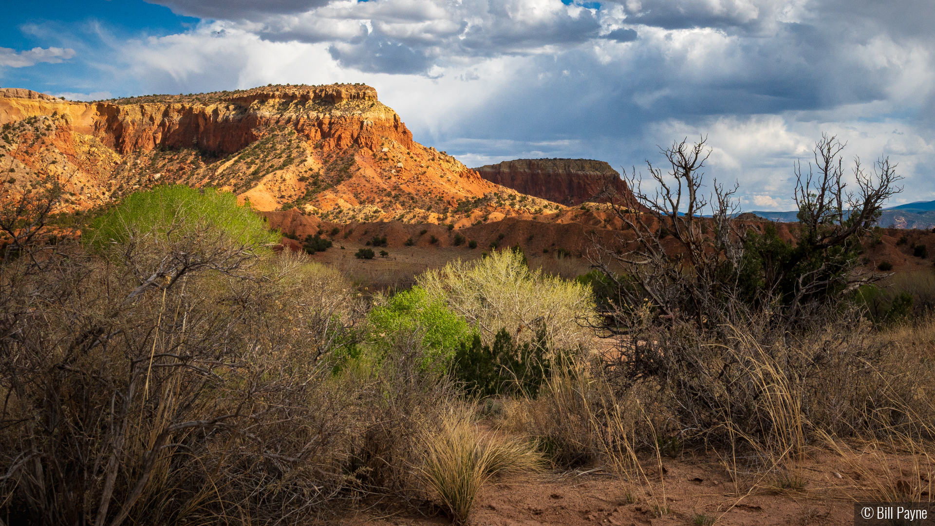 High-Desert Climate by Bill Payne