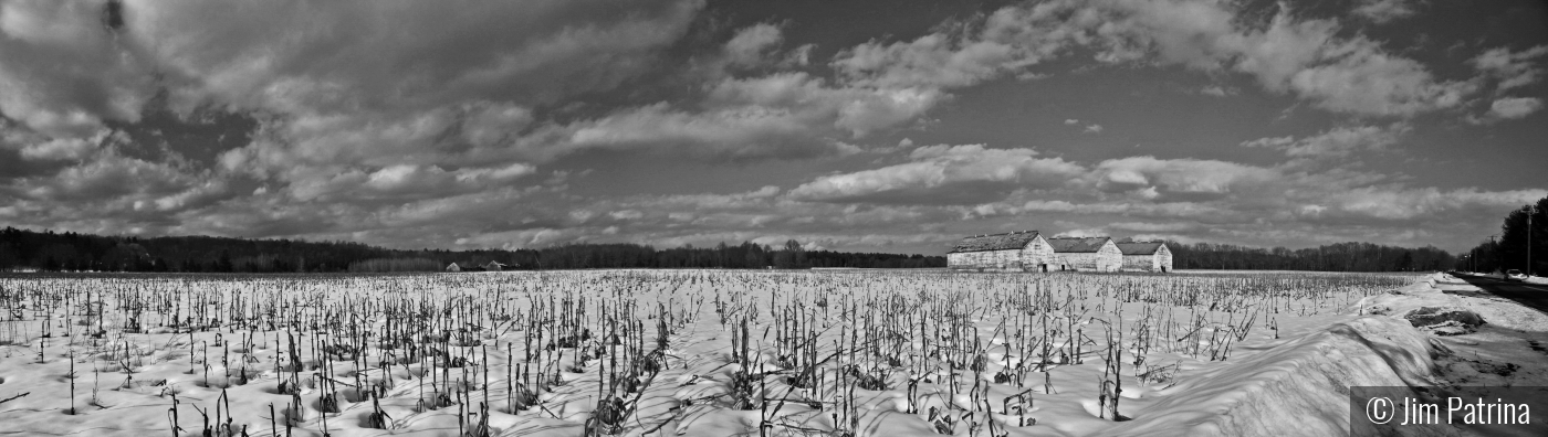 Hoskins Rd Winter by Jim Patrina