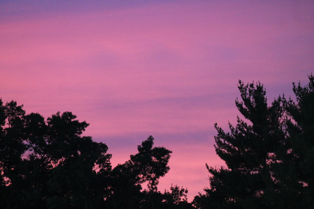 I See Purple by James Haney