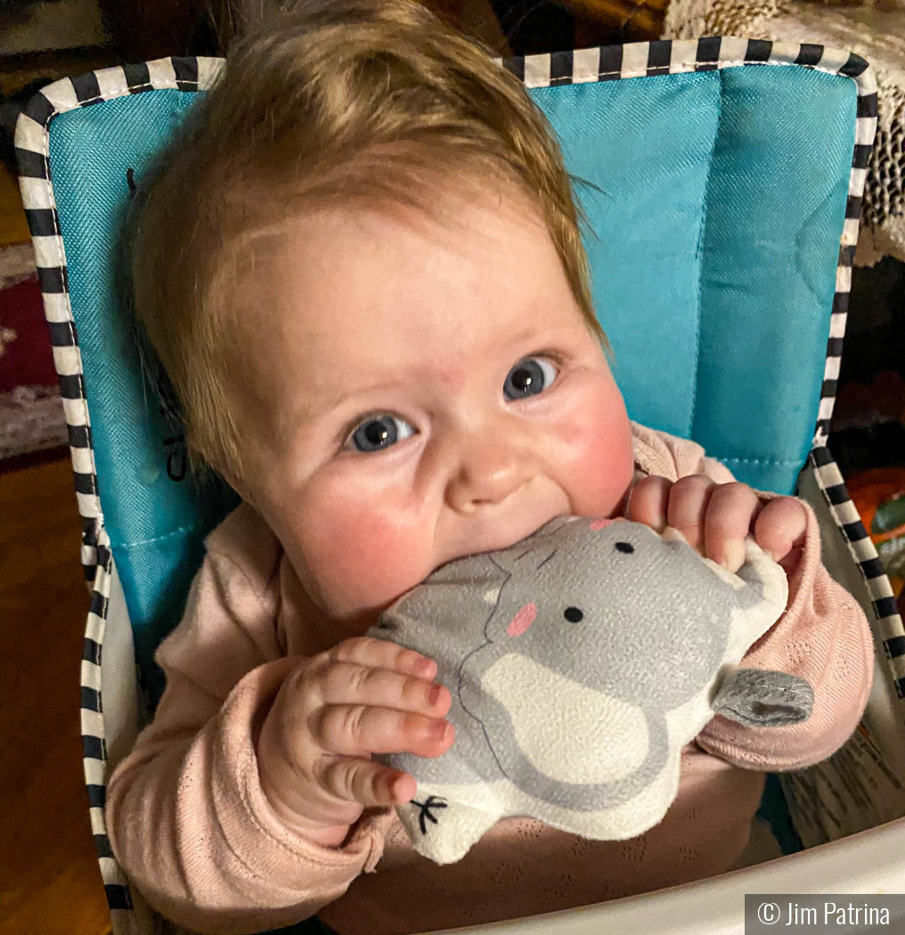 I'm so hungry I could eat an elephant by Jim Patrina