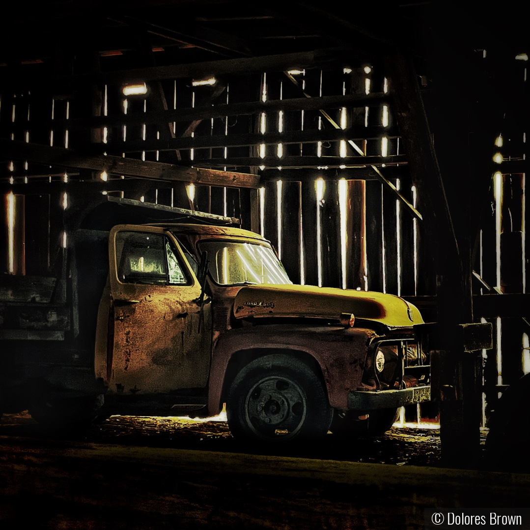 In The Barn by Dolores Brown