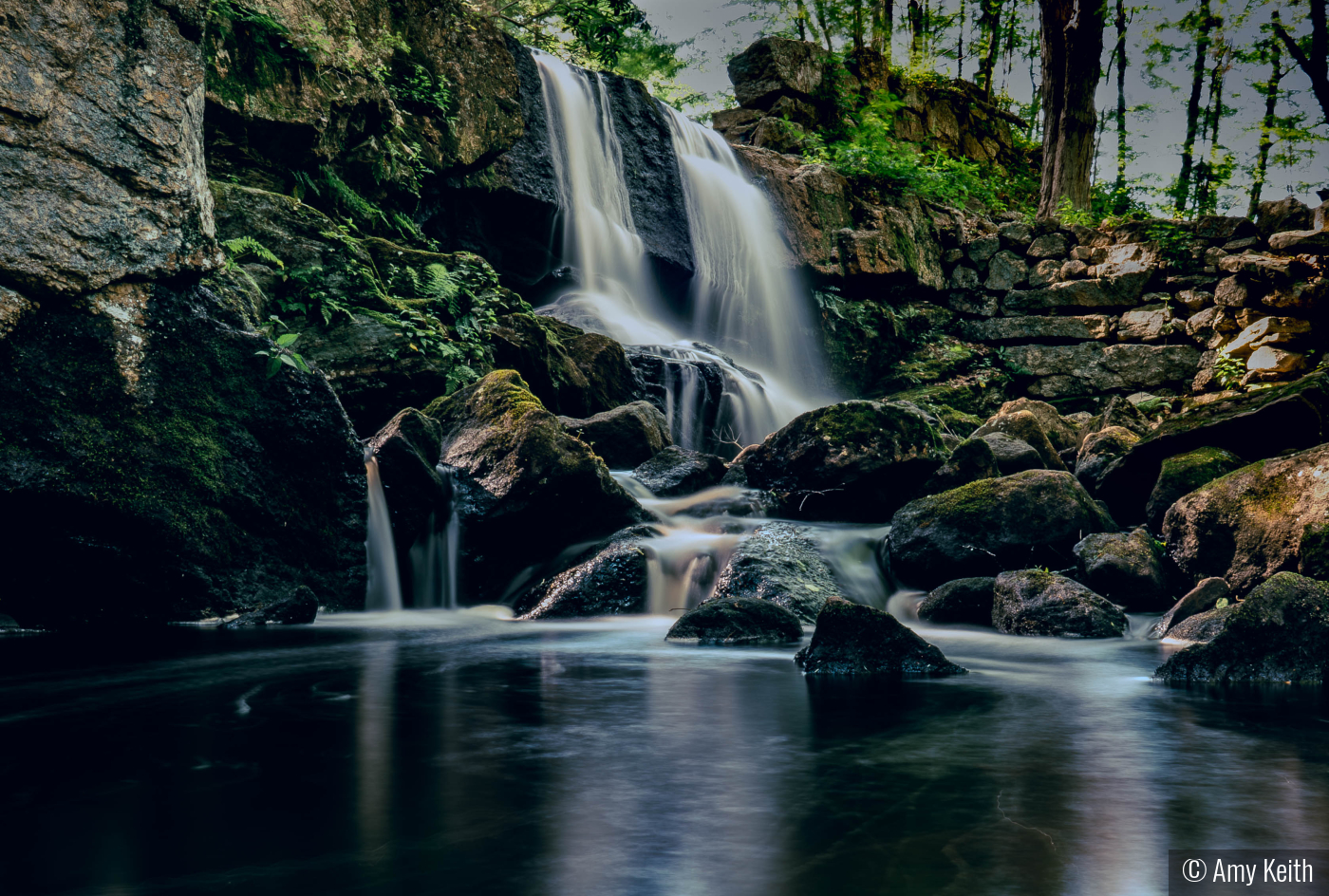In the Company of Moss and Water by Amy Keith