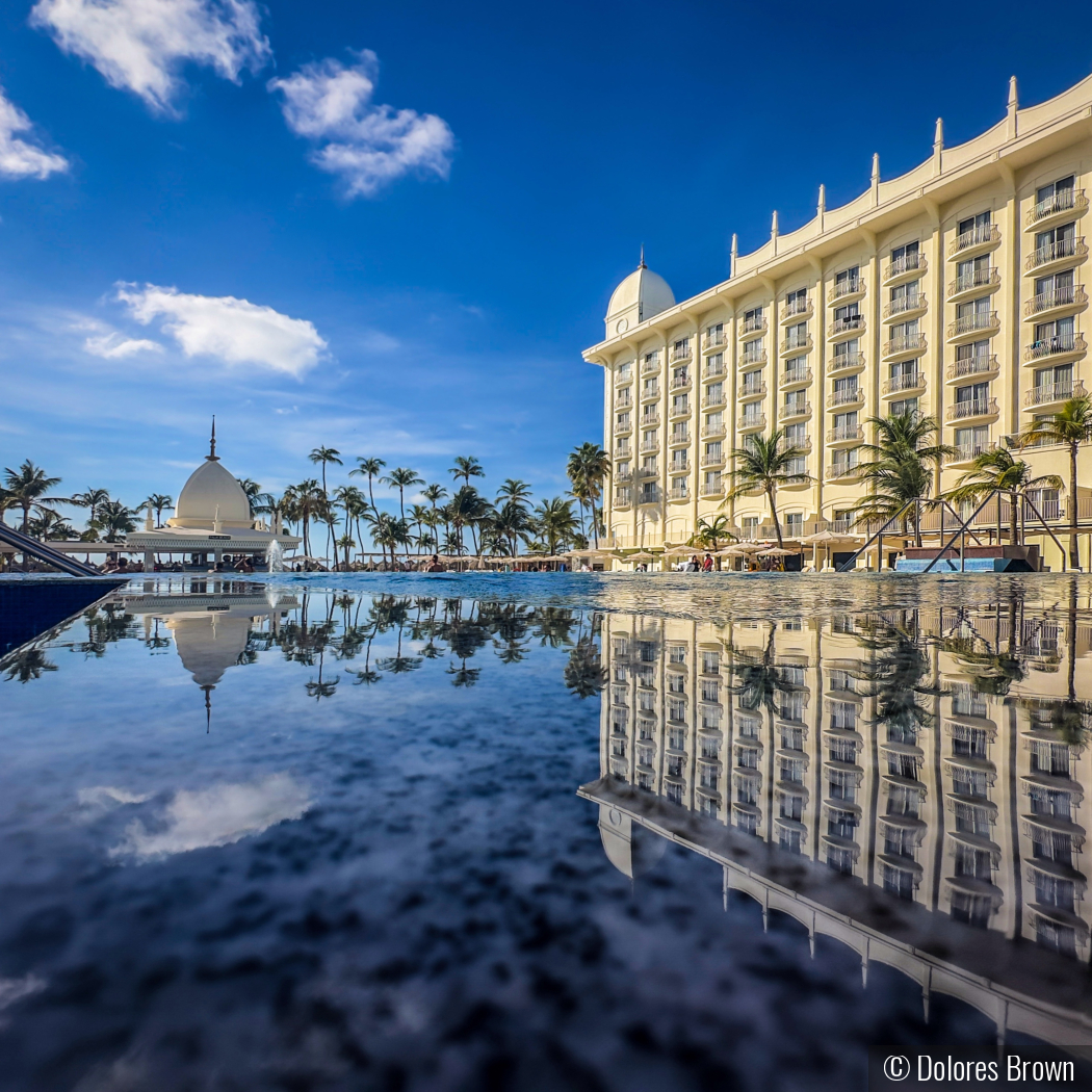 Infinity Pool Reflection by Dolores Brown