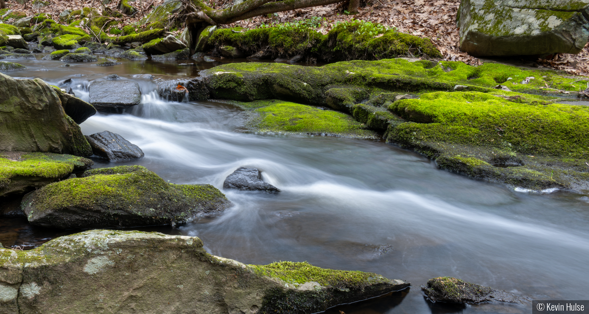 Jim Brook at Roaring Brook by Kevin Hulse