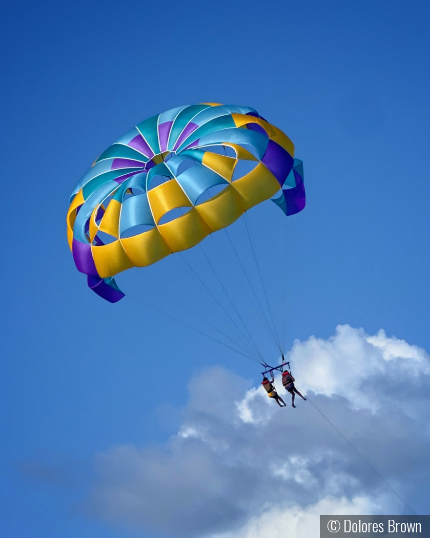 Kicking the clouds by Dolores Brown