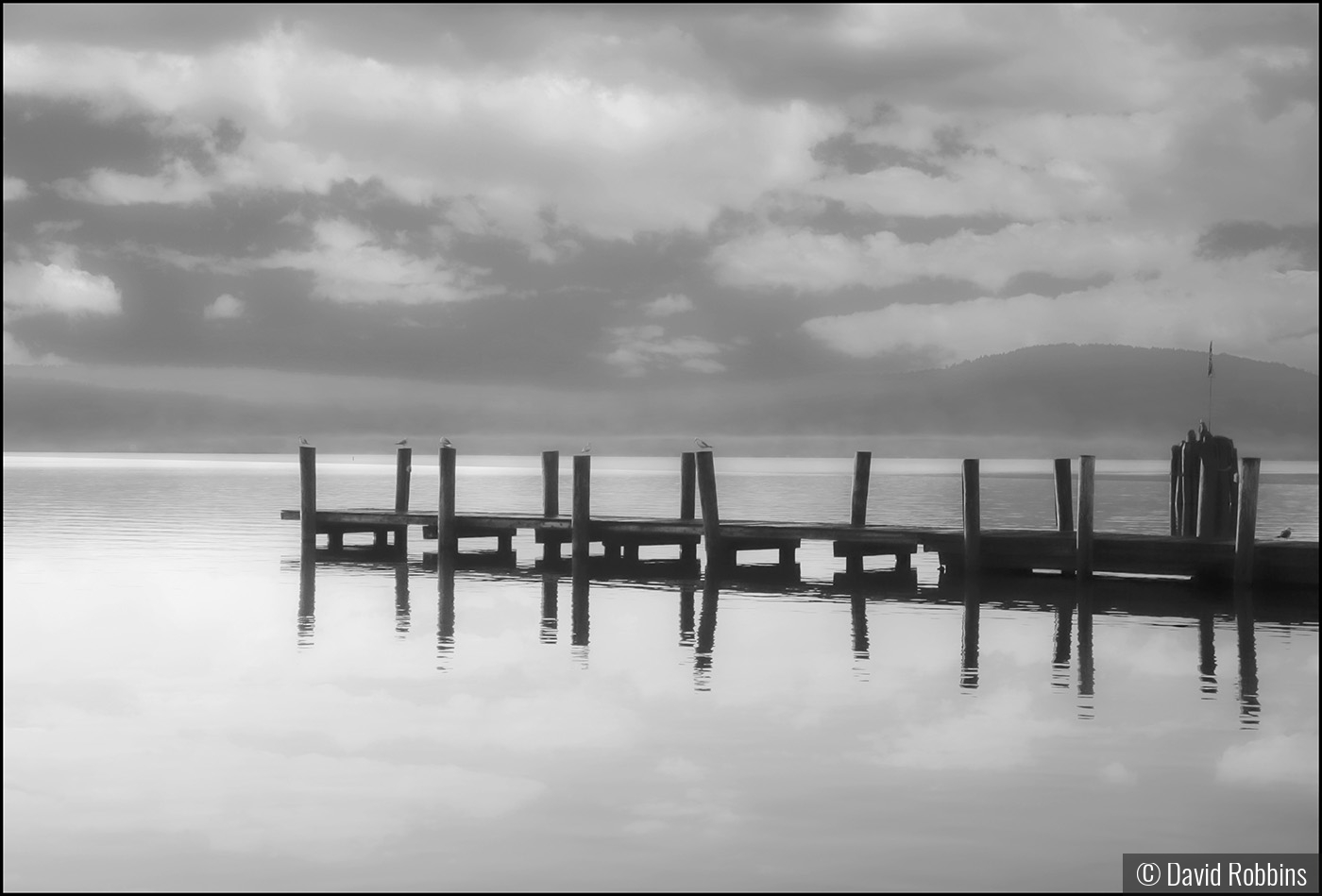 Lake Dock at Dawn by David Robbins