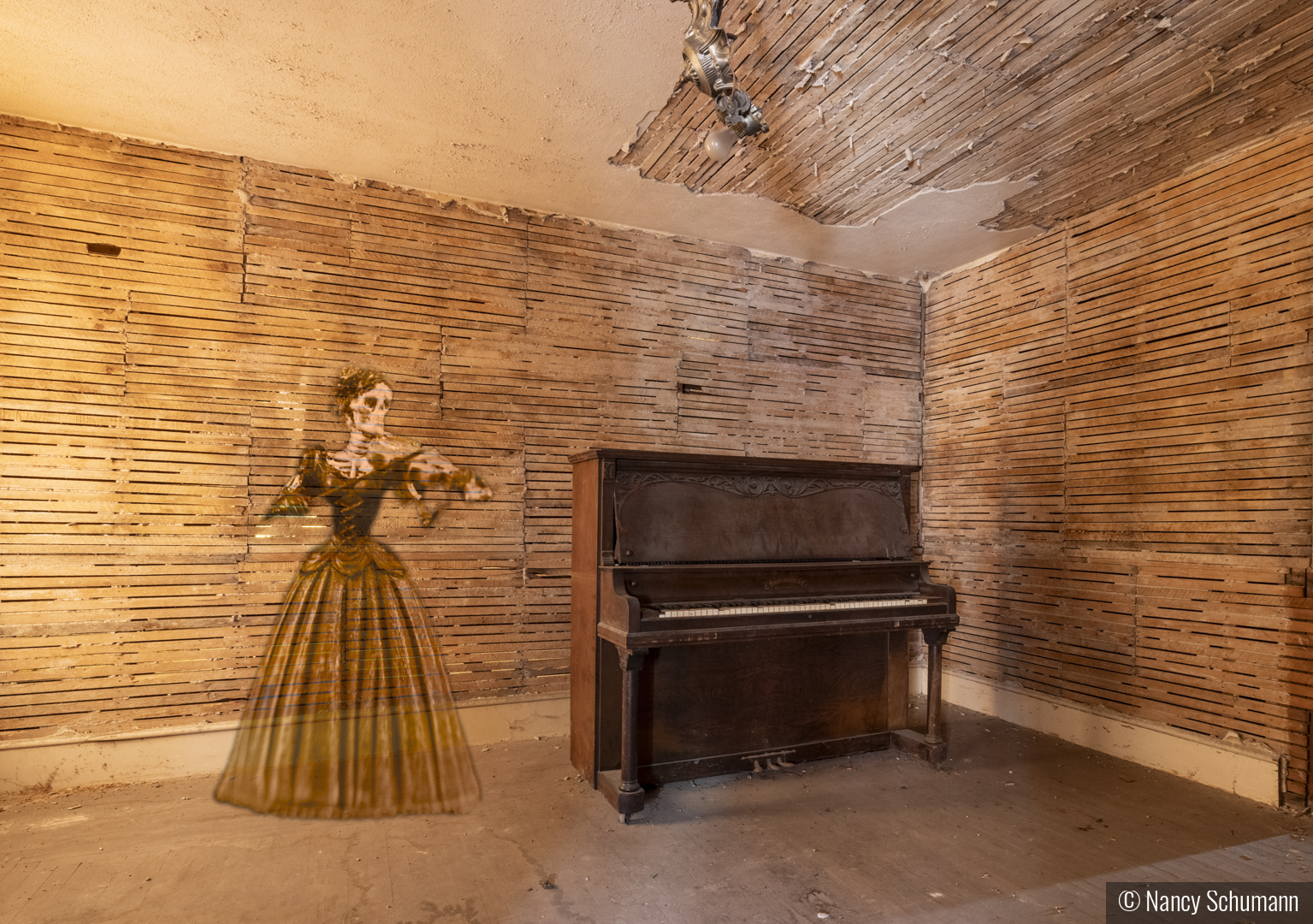 Last Concert by Nancy Schumann