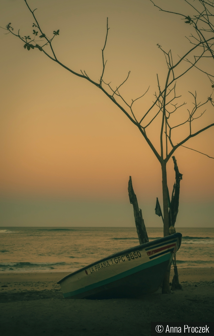Left Behind by Anna Proczek