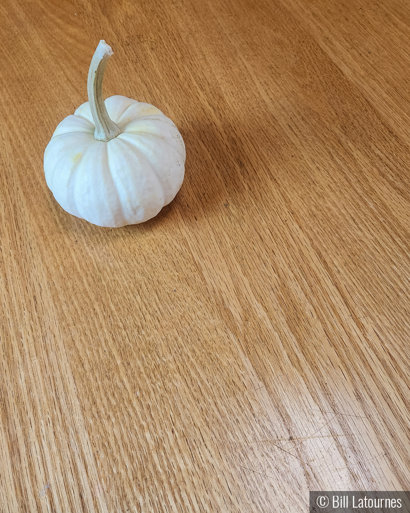 Little Pumpkin by Bill Latournes